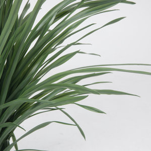 57 ''Faux Citronnelle Herbe en Pot Décor À La Maison Plante Artificielle Élégant Pots De Fleurs Et Jardinières - Product Image 2