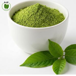 Polvo de Hoja Herbal Tailandesa AuE Purity Organic 1.2% MIT, Secado al Aire Caliente, Khon Kaen, 120 Mesh, Envasado al Vacío, Favorito de los Fans - Product Image 1