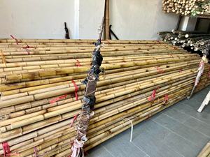 Poteaux en bambou doré du Vietnam, paquet de 1 à 10 m de long, solides et épais, pour l'agriculture, la construction et la décoration intérieure - Product Image 5