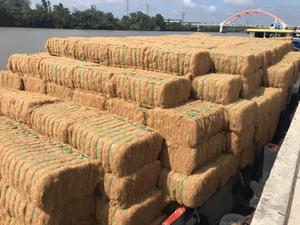 ECO2GO VIETNAM Coconut Coir Fiber Bulk-100% Coconut Fiber Eco-Friendly Anti-UV Chemical-Resistant Growing Medium Mattress - Product Image 2