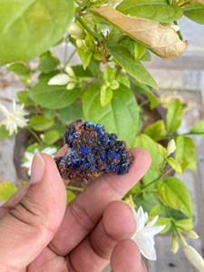 Spécimen de cristal d'azurite brut |   Minéral de cuivre bleu profond naturel |   Pierre de présentation pour collectionneur |   Échantillon minéral rare - Product Image 4