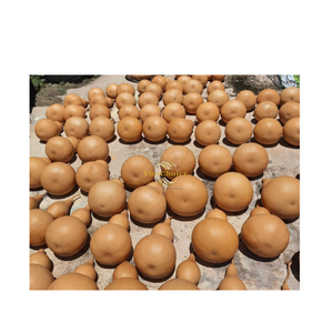 มะระแห้งธรรมชาติ วัสดุงานฝีมือรักษ์โลก สำหรับงานศิลปะ DIY จำหน่ายส่ง - Product Image 2