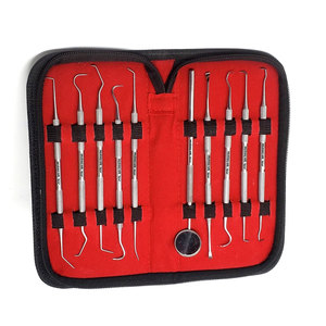 Kit professionnel de détartrage dentaire en acier inoxydable avec miroir d'inspection – Outils de soins bucco-dentaires pour l'élimination de la plaque et du tartre - Product Image 3
