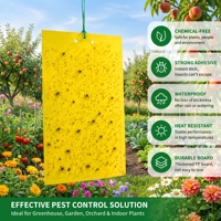 Klevende insectenvangplaten van stevig plastic, dubbelzijdig, extra sterke kleefstof, ongediertebestrijding, geschikt voor kas en landbouw, tegen bladluizen en wittevliegen