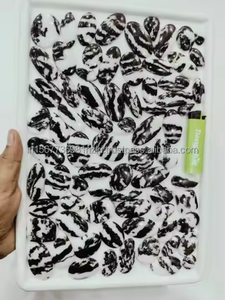 Cabujón de jaspe cebra Natural 100%, piedra preciosa suelta, jaspe de calidad increíble, piedra de jaspe hecha a mano, joyería hecha a mano - Product Image 3