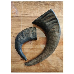 Hueso de Búfalo Natural para Masticar, Golosina Orgánica de Larga Duración para Mascotas, Hueso Saludable para Masticar, Juguete Ecológico para Perros - Product Image 6