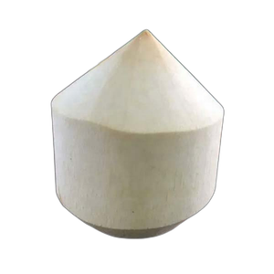 Coco Fresco Entero con Cáscara, Corte Diamante, Brix 9, 9 Frutos por Caja, Orgánico, Ben Tre Vietnam, Producto Más Vendido - Product Image 3