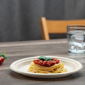 Assiettes jetables écologiques biodégradables en bagasse de canne à sucre rondes de 6 pouces pour les occasions de fête et de mariage - Product Image 3