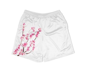 OEM <b>Men</b> Mesh Basketball <b>Shorts</b> <b>Elastic</b> <b>Waistband</b> Side Pockets Sublimation 3D Digital Printing Factory Supply Mesh <b>Shorts</b> - Product Image 3