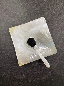 Cuillère à servir en nacre naturelle ILAHI, faite à la main, style bohème, blanche, non toxique, en plastique PE, ICOMS-13893 Uttar - Product Image 6