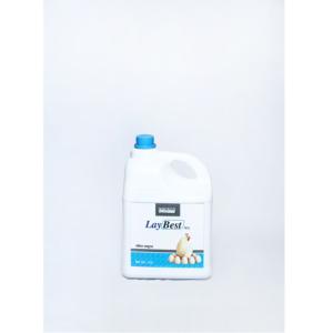 Aditivo Líquido Avanzado Laybest WS de 5 Litros de Alta Calidad para Aves de Corral, para Mejorar la Producción de Huevos, Disponible a Buen Precio - Product Image 1