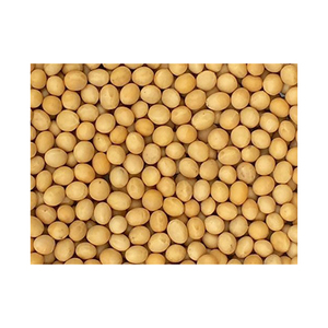 Soja lista para la venta con envío global y soluciones de embalaje seguras - Product Image 3