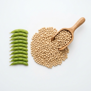 Semillas de Soja Premium, Producto Agrícola Natural para Agricultura Comercial y Exportación a Granel, Suministro al por Mayor - Product Image 3