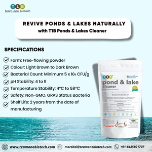 Natural <b>Pond</b> Cleaner for Organic Waste Digestion - Product Image 3