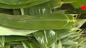 Hojas de Bambú Secas Premium – Hojas de Bambú Naturales para Envolver Alimentos, Proveedor de Vietnam // Sr. Tom - Product Image 6