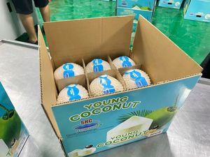น้ำมะพร้าวเวียดนามสดคุณภาพพรีเมียม อายุการเก็บรักษา 60-90 วัน โดย TECHMIFOOD - Product Image 3