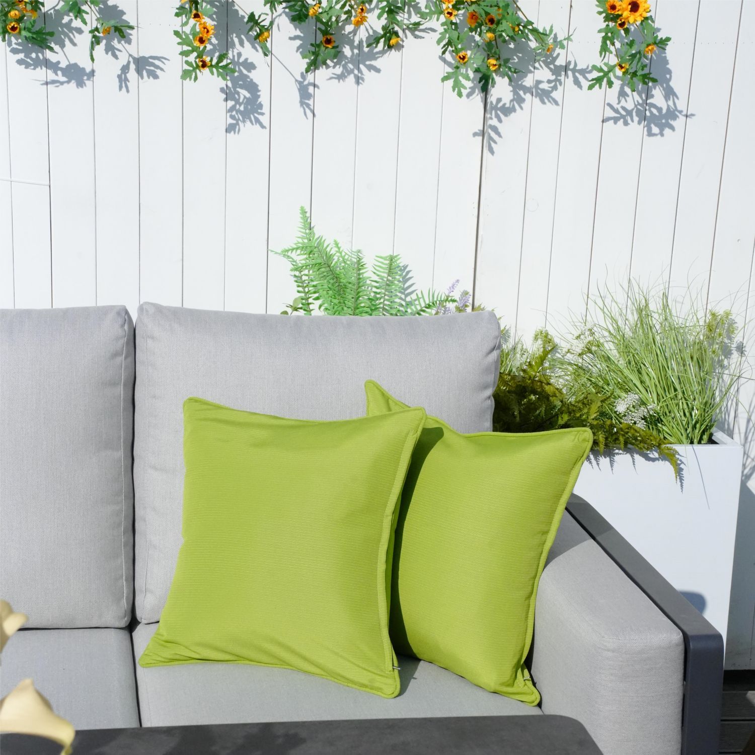 Green Color