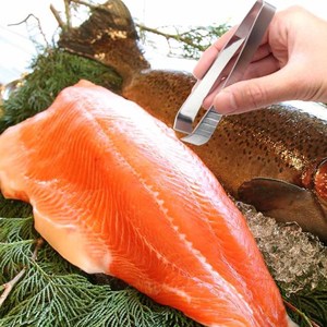 Pince à désosser en acier inoxydable – Outil professionnel pour enlever les arêtes de poisson et désosser - Product Image 5