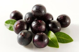 Pó de <span class=keywords><strong>Acai</strong></span> em pó puro e concentrado, derivado de <span class=keywords><strong>Acai</strong></span> superfood, adequado para fazer suco ou como extrato de frutas - Product Image 4