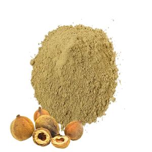 Export Quality 100% Pure Baheda Fruit Powder Health Food Grade Baheda Powder Bulk Supply Helps Support Natural Digestion Balance - Product Image 5
