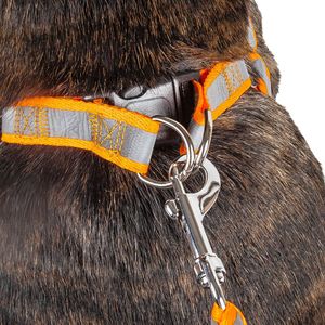 Guinzaglio e Pettorina per Cani 2-in-1 Regolabili con Cuciture Riflettenti, Pettorine a Tensione Facile per Animali Domestici - Product Image 4
