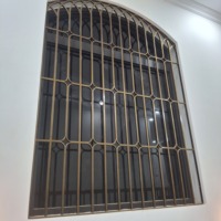 Suministro Directo de Fábrica, Precios Competitivos, Puerta de Hierro EURO, Hierro Forjado Galvanizado, Reja Decorativa Tradicional para Ventanas, Flexible