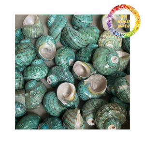 Anneau de serviette unique en coquille de conque pour une décoration élégante de la table à manger - Product Image 1