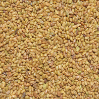 Graines d'alfalfa de haute qualité Moon Star (Medicago Sativa) pureté 99% germination 85% emballage 1-50 KG origine Pakistan