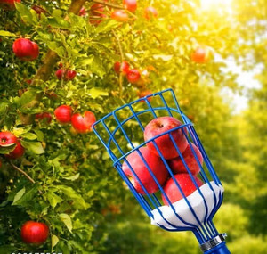 Cesta Recolectora de Frutas de Metal Resistente con Cojín de Espuma |   Herramienta de recolección de frutas para mango, manzana, naranja y guayaba, para montar en poste - Product Image 4