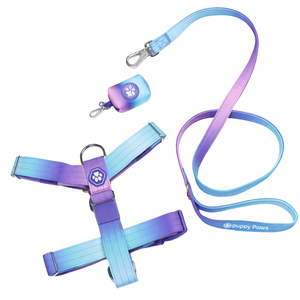 Conjunto de Arnés para Perro Sin Tirones Comfort Control Snow Cone con Correa a Juego y Clip Frontal Ajustable, Set de Entrenamiento para Paseos Diarios - Product Image 2