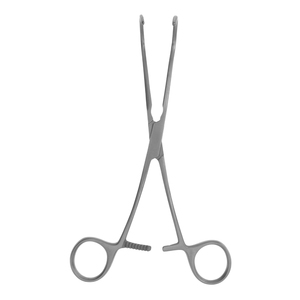 Pinzas para tejidos Babcock, acero inoxidable, anguladas, atraumáticas, para cirugía intestinal, con bloqueo manual de trinquete, CE ISO - Product Image 2