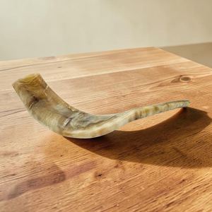 Shofar en corne de bélier, matériau organique écologique, poli à la main, décoration d'intérieur, artisanat Hs Husnain fabriqué en Inde - Product Image 4
