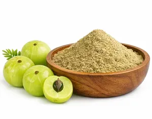 Polvo de Amla 100% Auténtico de Calidad Premium, Natural y Puro, Grado Alimenticio, a Granel, Exportación de la India a Precio Mayorista - Product Image 4