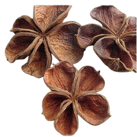 Fleur séchée de lotus de terre Fleur séchée décorative avec différentes tailles de remplisseurs de vase Pot-pourri