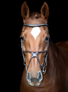 Professional English Leather Horse Bridle Select Anatomical with Stainless Steel Hardware Soft Padded Noseband Top Selling - Product Image 5