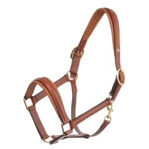 Elegant Tan Leather Horse Halter with Brass Fittings Adjustable Noseband Premium Craftsmanship for Superior Comfort - Product Image 1