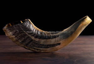 ฮอร์น kudu shofar แท้จากอิสราเอลดีไซน์แบบครึ่งขัดเงาดั้งเดิม - Product Image 2