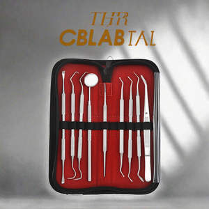 Ensemble d'instruments d'hygiène bucco-dentaire certifiés CE, étui, outils de nettoyage des dents et des gencives, élimination du tartre par Dentavex - Product Image 3