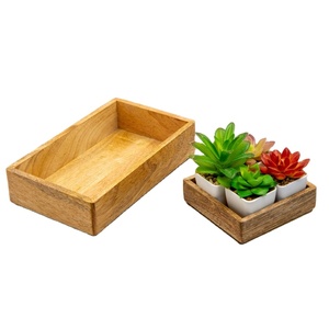 Mango <b>Wood</b> Tray Set <b>Small</b> Handcrafted Mango <b>Wood</b> <b>Box</b> for Tabletop Desktop Organizer - Product Image 1