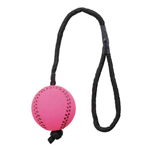 Juego de Pelotas de Neón Trixie de Goma Suave de 6 cm con Cuerda, Juguete para Perro - Product Image 2