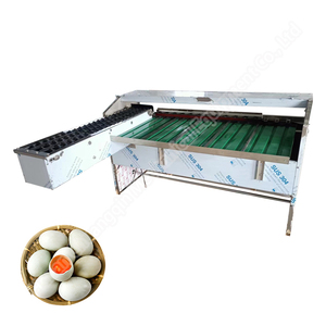 Automatic Egg Grader Machine <b>Small</b> Egg Sorting Machine Egg Grader Machine by <b>Weight</b> - Product Image 3