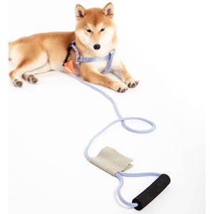 Pettorina e Guinzaglio per Cani 2-in-1 in Nylon Resistente Macaron - Pettorine Premium per Animali Domestici - Product Image 6