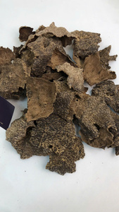 Copeaux d'Oud vietnamien de qualité supérieure, arôme royal |   Parfum naturel et aromatique riche, doux et fumé - Product Image 4