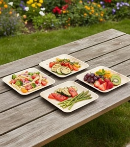 Nouvelles assiettes biodégradables en areca pour solutions de restauration en plein air, assiettes carrées de 6 pouces, articles pour la restauration rapide et les collations, utilisées dans l'hôtellerie - Product Image 1