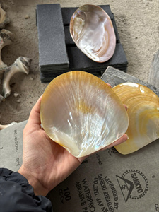 Plateau de service artisanal en nacre naturelle avec longue poignée plaquée argent, design luxueux pour la présentation de bijoux et la décoration intérieure - Product Image 4