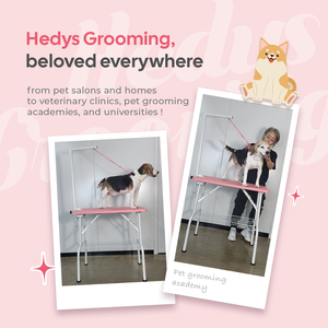 โต๊ะกรูมมิ่งสัตว์เลี้ยง HEDYS GROOMING รุ่น Heyd 002 สำหรับสุนัข พับได้ พกพาสะดวก โครงเหล็กแข็งแรง ทนทาน พร้อมท็อปไม้อัด เหมาะสำหรับงานกรูมมิ่งในร้านเสริมสวย - Product Image 6