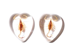 Escorpión Dorado, Espécimen Real, Cabujón de Plástico en Forma de Corazón de 17x21 mm, Base Plana Transparente para Manualidades y Joyería - Product Image 5