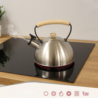 Bouilloire à sifflet en acier inoxydable de 2,5 L, couleur argent, pour cuisinière