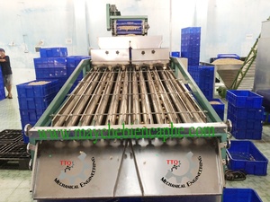 Vietnam <b>Large</b> Capacity Kernel Classify Machine High Quality Manufacture Vietnam - Product Image 6