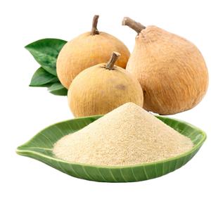 Poudre d'extrait de Santol sauvage de qualité alimentaire supérieure, ingrédient naturel de fruits tropicaux, approvisionnement en vrac en provenance de Thaïlande - Product Image 1